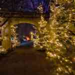 europa-park-13-12-2025-332.jpg