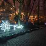 europa-park-13-12-2025-335.jpg