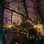 europa-park-13-12-2025-336.jpg