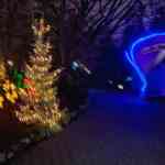 europa-park-13-12-2025-338.jpg