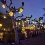 europa-park-13-12-2025-341.jpg