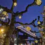 europa-park-13-12-2025-344.jpg