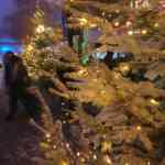 europa-park-13-12-2025-358.jpg