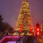 europa-park-13-12-2025-361.jpg