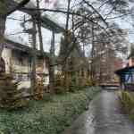 europa-park-14-12-2025-039.jpg