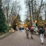 europa-park-14-12-2025-049.jpg