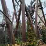 europa-park-14-12-2025-066.jpg