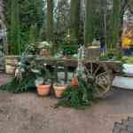 europa-park-14-12-2025-090.jpg