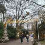 europa-park-14-12-2025-121.jpg