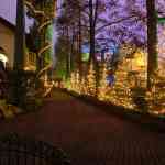 europa-park-14-12-2025-315.jpg