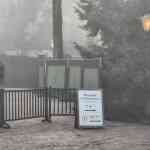 efteling-december-2025-025.jpg