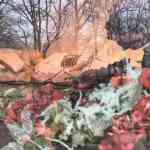 efteling-december-2025-060.jpg