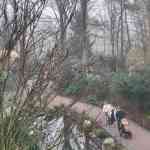 efteling-december-2025-061.jpg