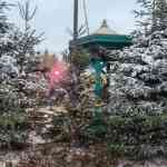 efteling-december-2025-113.jpg