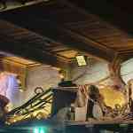 efteling-december-2025-119.jpg