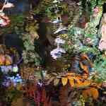 efteling-december-2025-138.jpg
