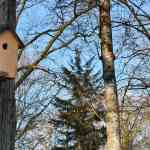 efteling-december-2025-181.jpg