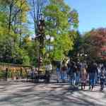 efteling-22-04-2026-009.jpg