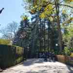efteling-22-04-2026-014.jpg