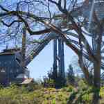 efteling-22-04-2026-021.jpg