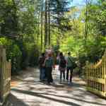 efteling-22-04-2026-128.jpg