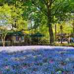 efteling-22-04-2026-226.jpg