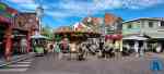 hoorn-09-08-2026-0034.jpg