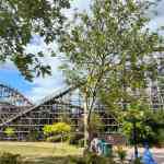 walibi-belgium-23-08-2026-0410.jpg